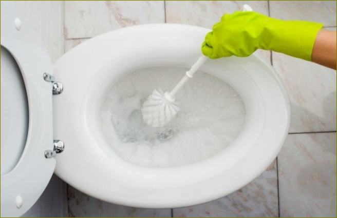 Какво да почистваме в тоалетната със септична яма