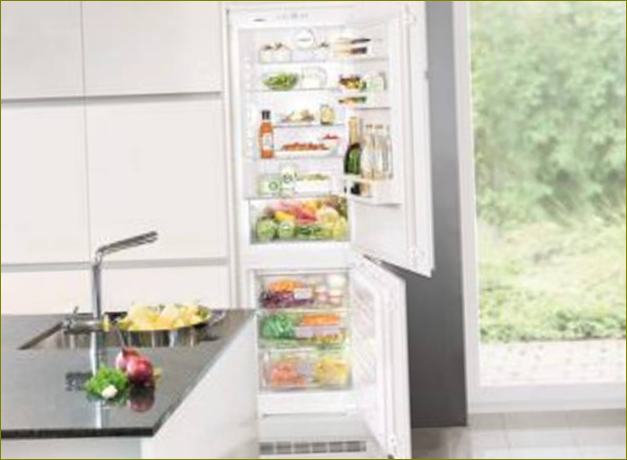 Хладилник без капки или без капки: разлики, кой е по-добър, плюсове и минуси