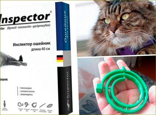 Инспектор за борба с акарите и обезпаразитяване за котки Снимка