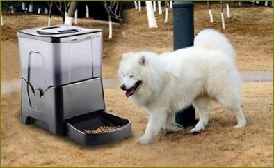Автоматична поставка за храна за големи кучета