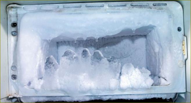 Коя система за размразяване на хладилника е по-добра: капкова или No Frost?
