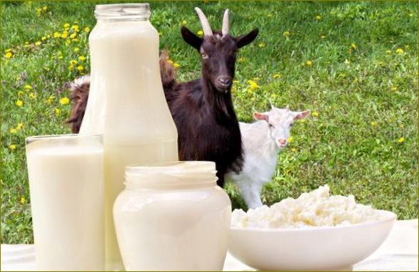 продукти от козе мляко
