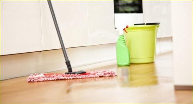 Топ 7 на най-добрите продукти за почистване на подове: какви са те, характеристики на избора, ревюта