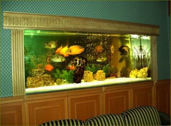 Голям аквариум