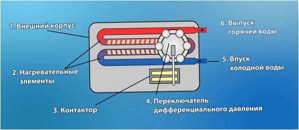 Проекторна костенурка